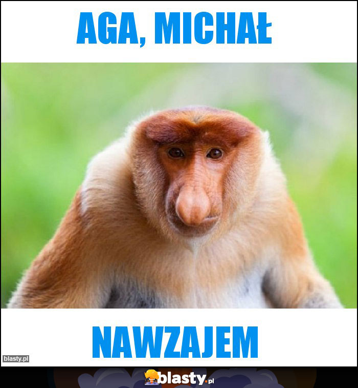 Aga, Michał Aga, Michał