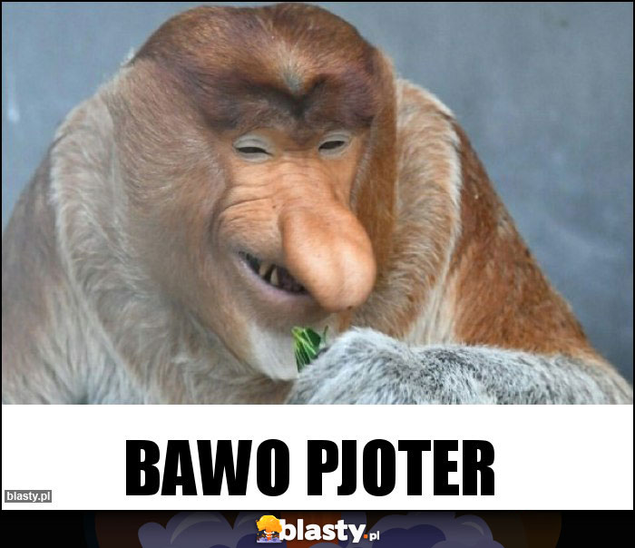 BAWO PJOTER BAWO PJOTER