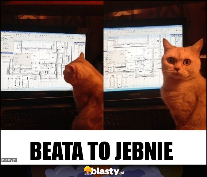 Beata to jebnie Beata to jebnie