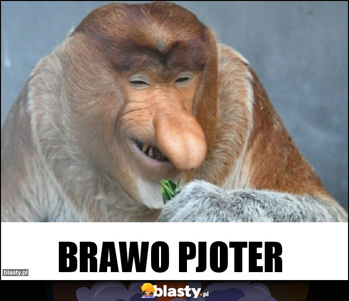 BRAWO PJOTER BRAWO PJOTER
