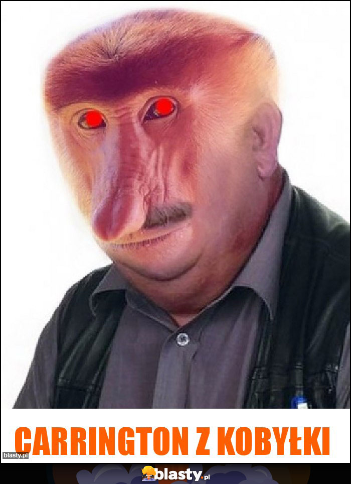 Carrington z Kobyłki Carrington z Kobyłki