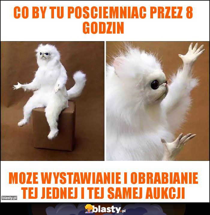 co by tu posciemniac przez 8 godzin co by tu posciemniac przez 8 godzin
