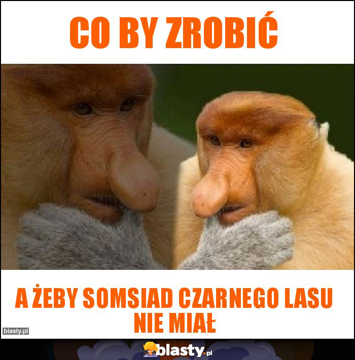 co by zrobić