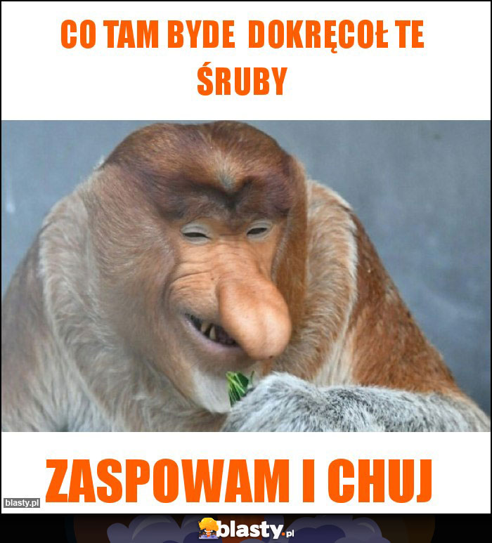 Co tam byde dokręcoł te śruby Co tam byde dokręcoł te śruby