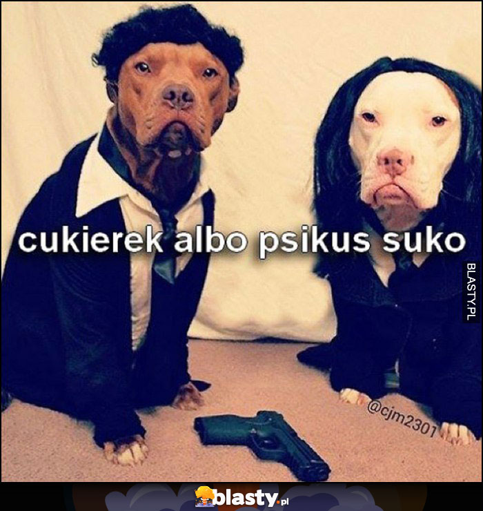 Cukierek albo psikus suko psy w przebraniu Pulp Fiction