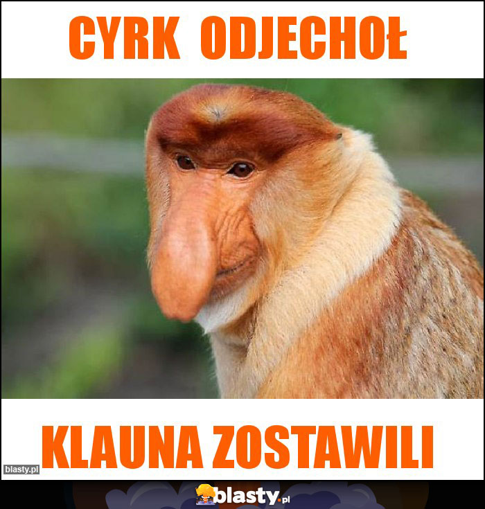 Cyrk odjechoł Cyrk odjechoł