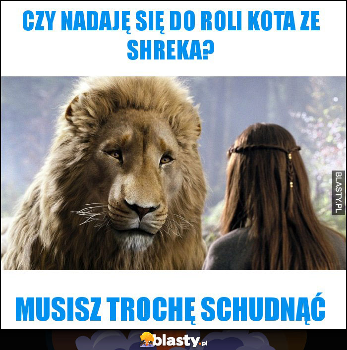 Czy nadaję się do roli kota ze Shreka? Czy nadaję się do roli kota ze Shreka?