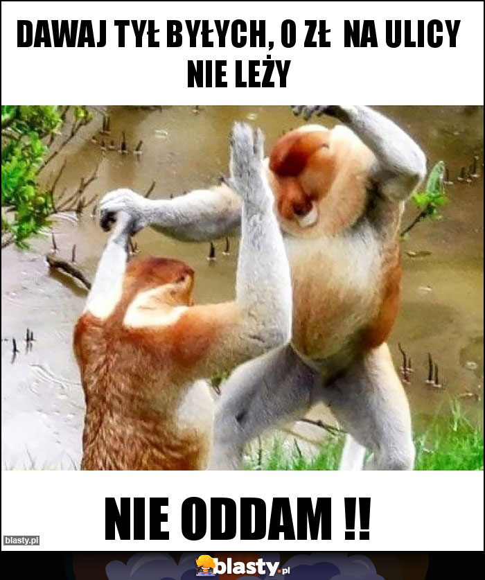 dawaj tył byłych, 0 zł na ulicy nie leży dawaj tył byłych, 0 zł na ulicy nie leży