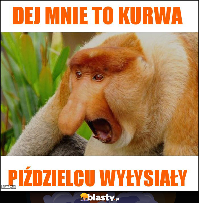DEJ MNIE TO KURWA DEJ MNIE TO KURWA