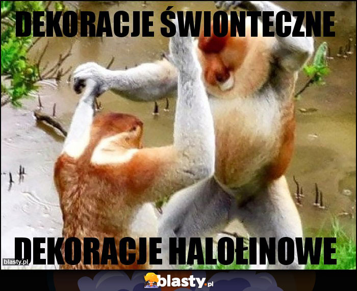 Dekoracje świonteczne