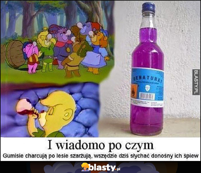 Denaturat i wiadomo po czym gumisie harcują po lesie sok z gumijagód Denaturat i wiadomo po czym gumisie harcują po lesie sok z gumijagód