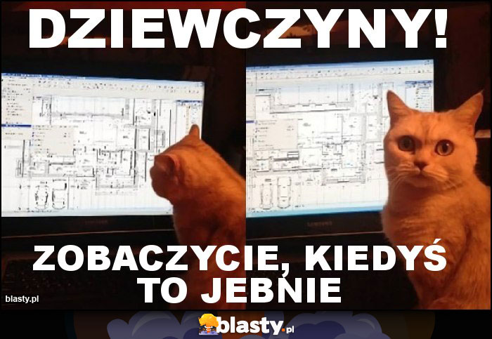 Dziewczyny! Dziewczyny!