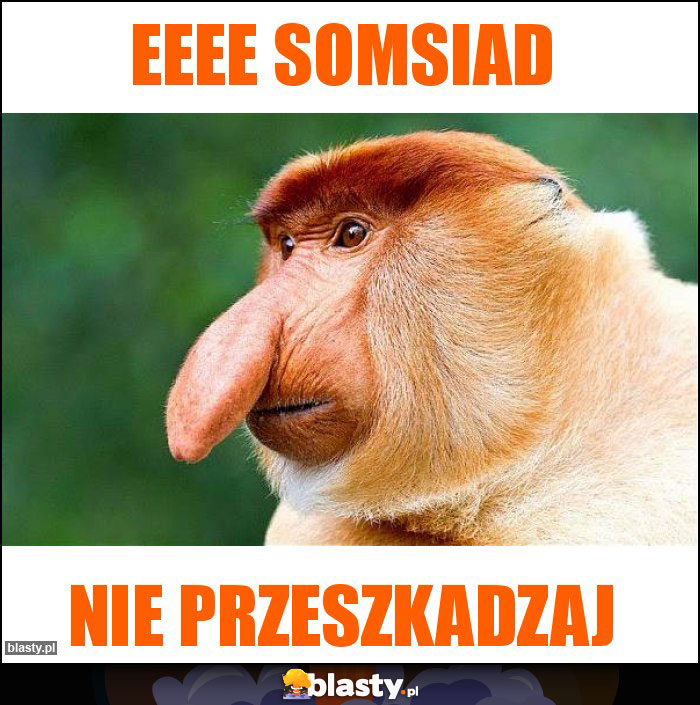 EEEE somsiad EEEE somsiad