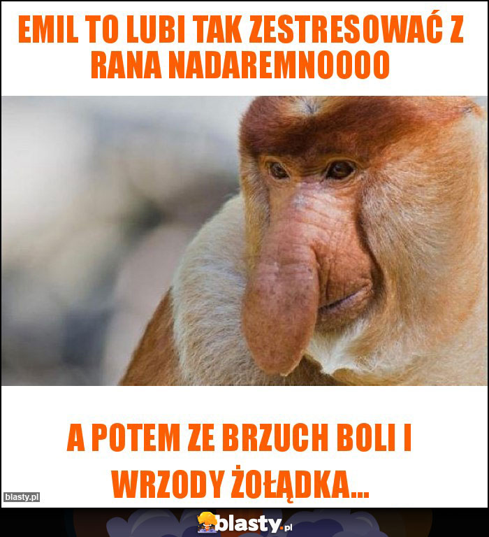Emil to lubi tak zestresować z rana nadaremnoooo Emil to lubi tak zestresować z rana nadaremnoooo