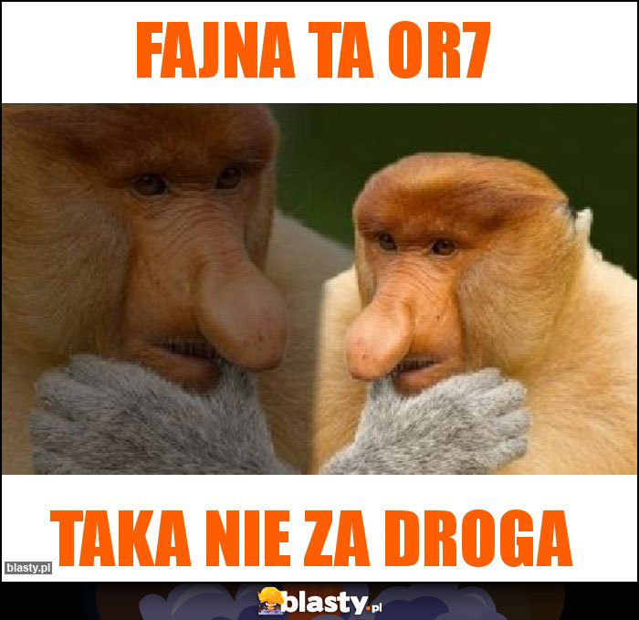 Fajna ta OR7 Fajna ta OR7