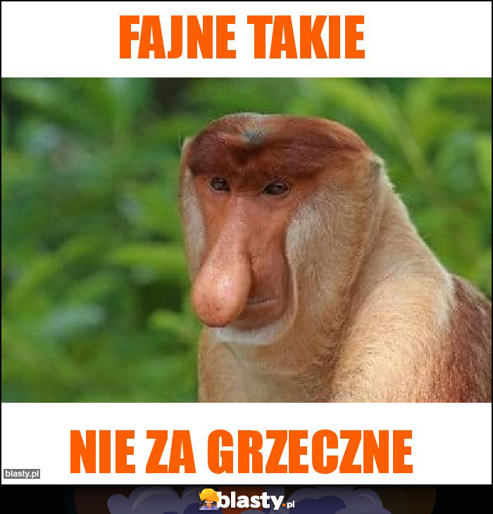 Fajne takie Fajne takie