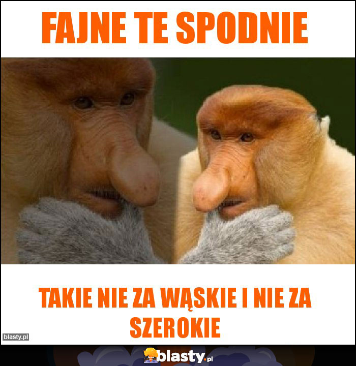 Fajne te spodnie Fajne te spodnie