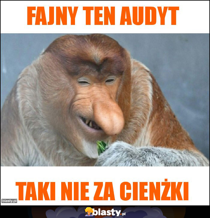FAJNY TEN AUDYT FAJNY TEN AUDYT