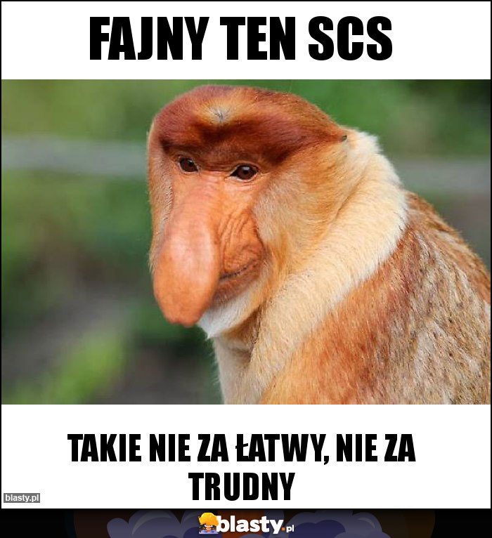 Fajny ten SCS Fajny ten SCS