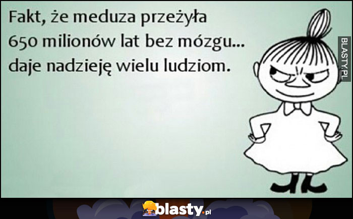 Fakt, że meduza przeżyła 650 milionów lat bez mózgu daje nadzieję wielu ludziom