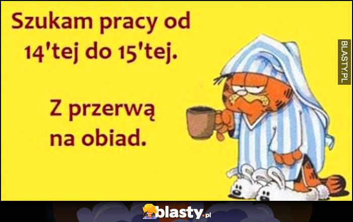 Garfield szukam pracy od 14 do 15 z przerwą na obiad