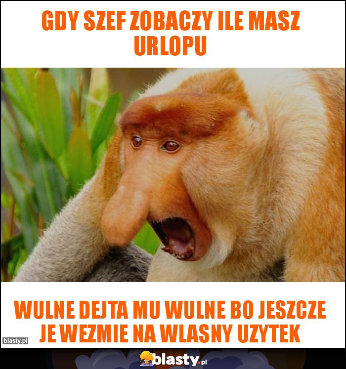 Gdy szef zobaczy ile masz urlopu Gdy szef zobaczy ile masz urlopu