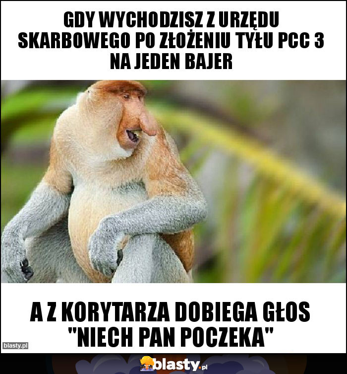 Gdy wychodzisz z urzędu skarbowego po złożeniu tyłu pcc 3 na jeden bajer Gdy wychodzisz z urzędu skarbowego po złożeniu tyłu pcc 3 na jeden bajer
