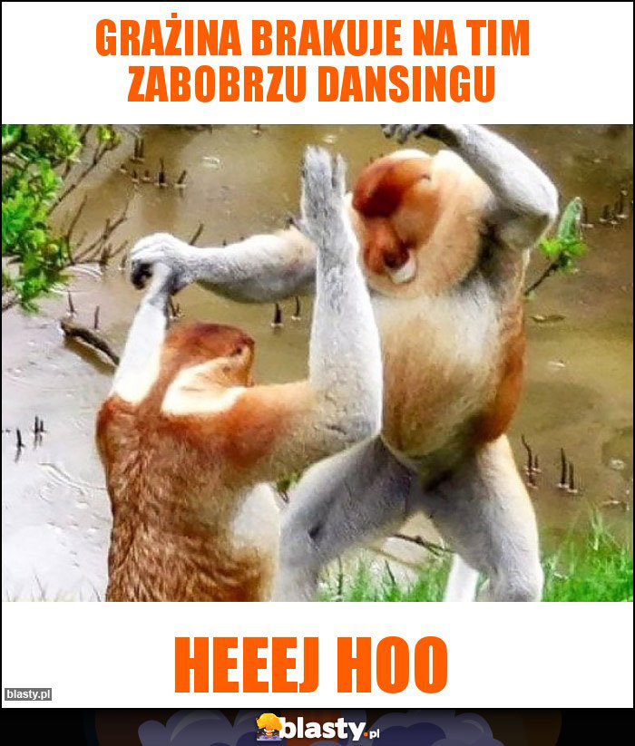 Grażina brakuje na tim zabobrzu dansingu Grażina brakuje na tim zabobrzu dansingu
