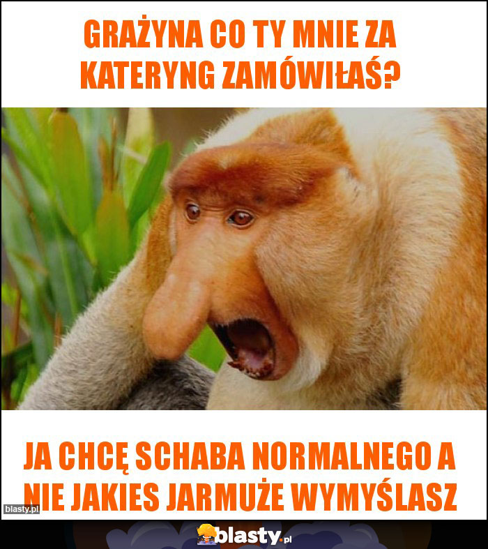 Grażyna co ty mnie za kateryng zamówiłaś?