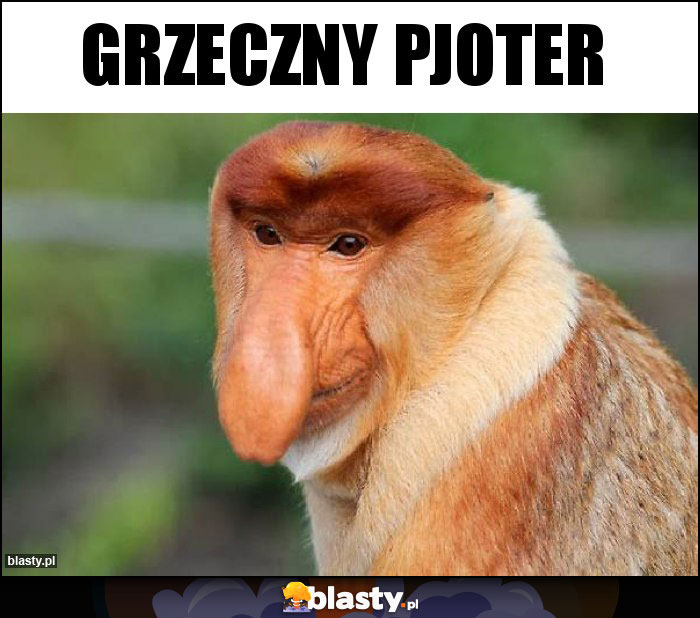 Grzeczny Pjoter