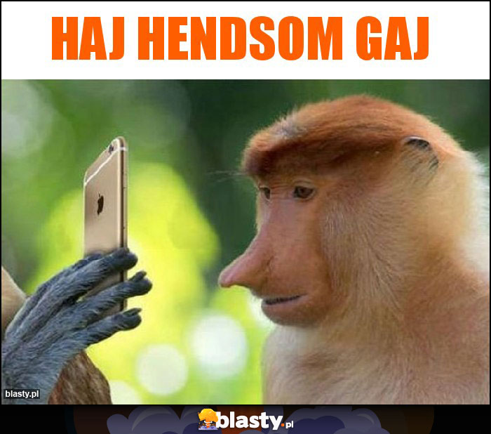 Haj Hendsom Gaj Haj Hendsom Gaj
