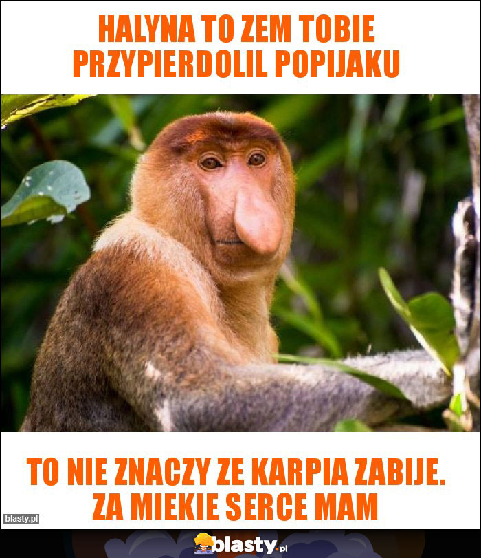 Halyna to zem Tobie przypierdolil popijaku Halyna to zem Tobie przypierdolil popijaku