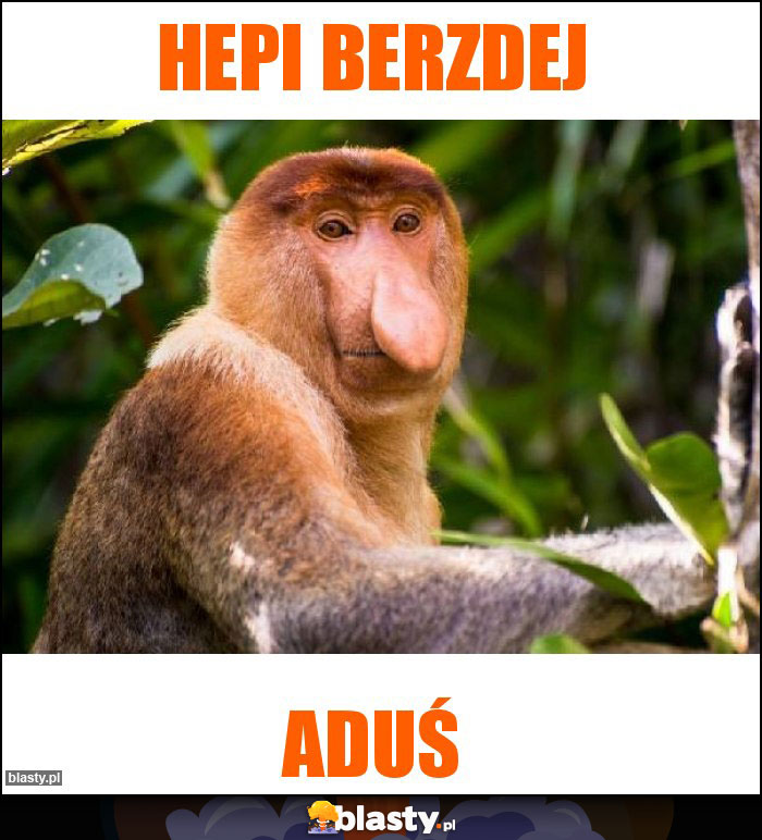 hepi berzdej hepi berzdej