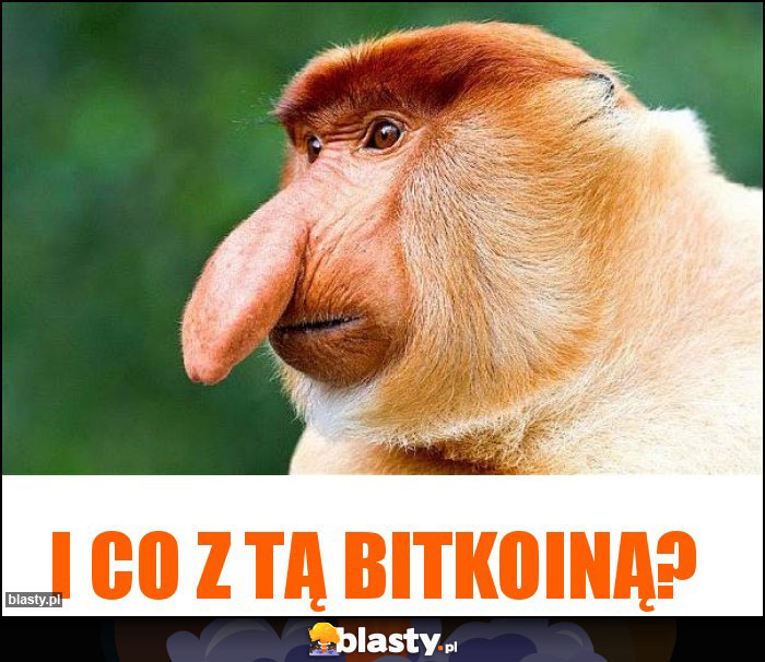I co z tą bitkoiną?