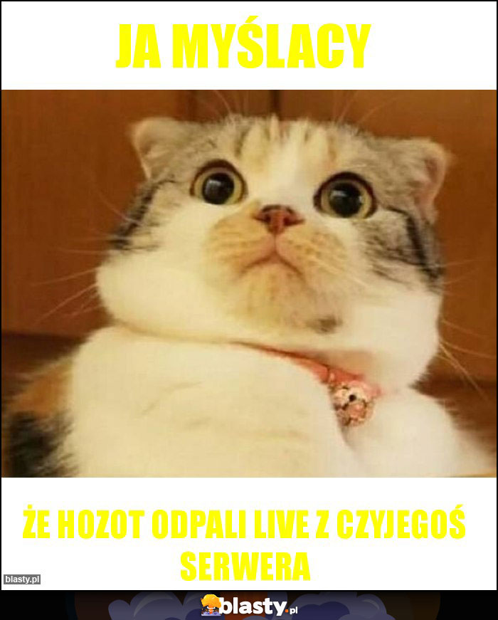 ja myślacy ja myślacy