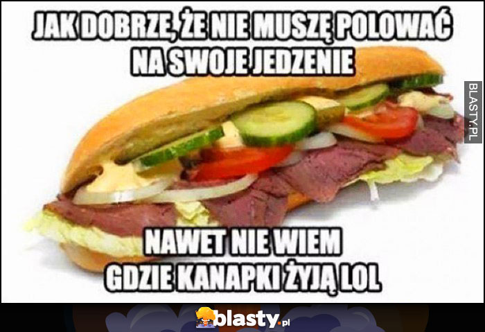 Jak dobrze, że nie muszę polować na swoje jedzenie, nawet nie wiem gdzie kanapki żyją lol