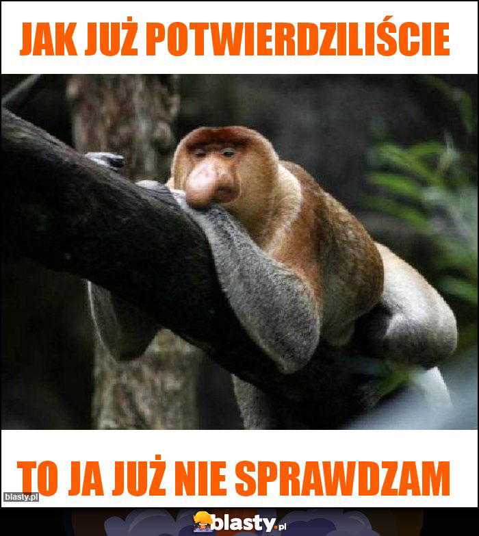 Jak już potwierdziliście Jak już potwierdziliście