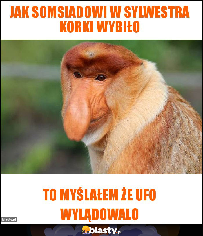 Jak somsiadowi w sylwestra korki wybiło Jak somsiadowi w sylwestra korki wybiło