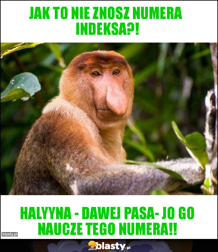 Jak to nie znosz numera indeksa?! Jak to nie znosz numera indeksa?!