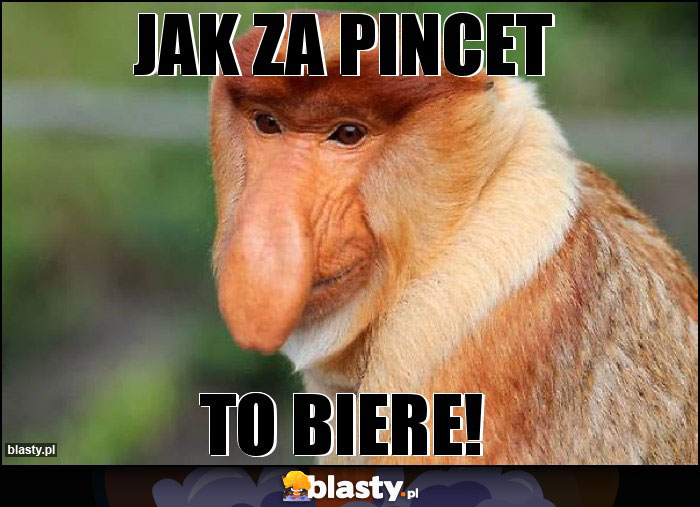 JAK ZA PINCET JAK ZA PINCET