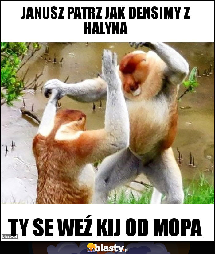 Janusz patrz jak densimy z Halyna Janusz patrz jak densimy z Halyna