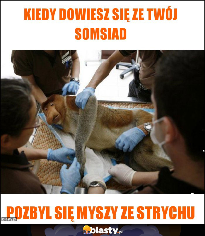 Kiedy dowiesz się ze twój somsiad Kiedy dowiesz się ze twój somsiad