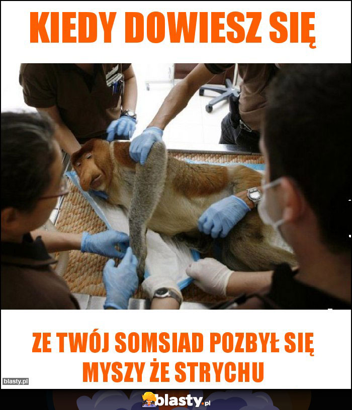 Kiedy dowiesz się Kiedy dowiesz się