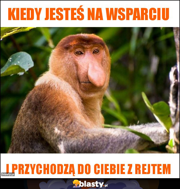 Kiedy jesteś na wsparciu Kiedy jesteś na wsparciu