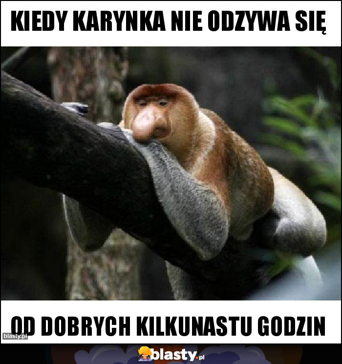 Kiedy Karynka nie odzywa się Kiedy Karynka nie odzywa się