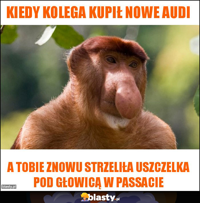 kiedy kolega kupił nowe Audi kiedy kolega kupił nowe Audi