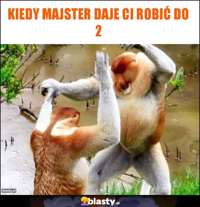 Kiedy majster daje ci robić do 2 Kiedy majster daje ci robić do 2