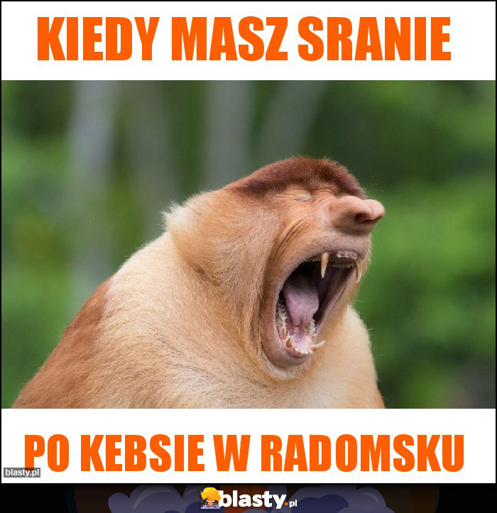 kiedy masz sranie