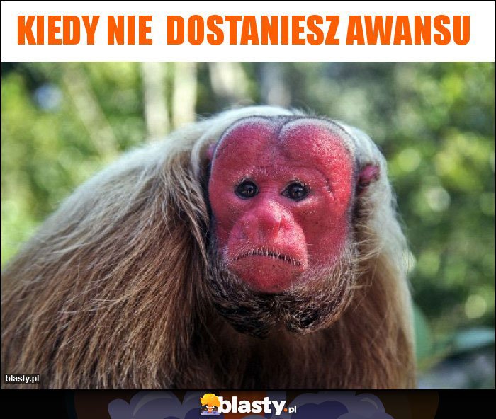 Kiedy nie dostaniesz awansu Kiedy nie dostaniesz awansu