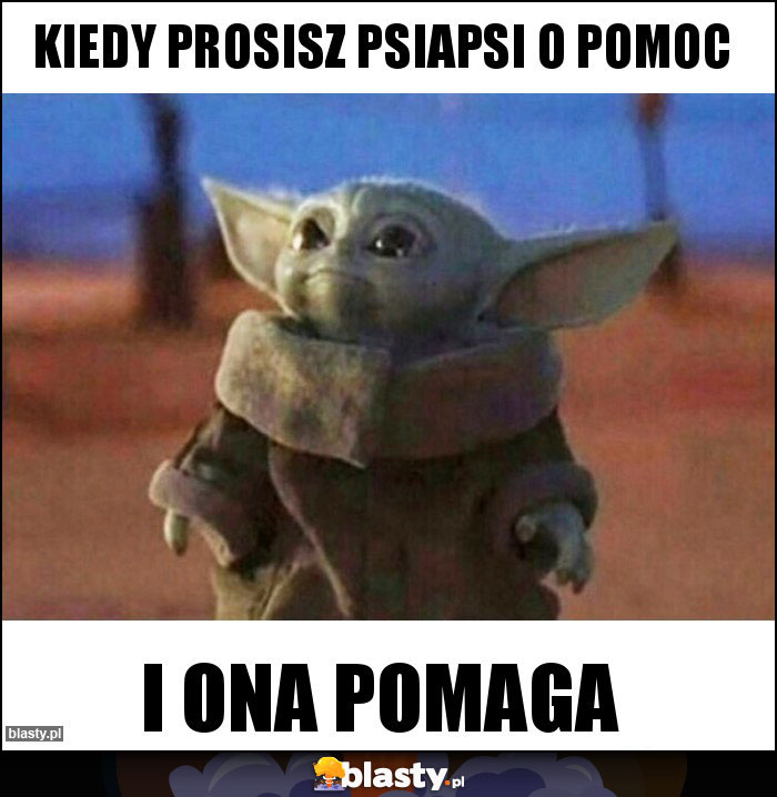 Kiedy prosisz psiapsi o pomoc Kiedy prosisz psiapsi o pomoc